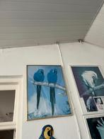 Ingelijste goud poster van Hyacint Ara papagaai, Ophalen, Gebruikt, Met lijst, A1 t/m A3