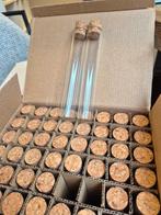 Glazen reageerbuisjes met kurk (48 st 15cm 2.5cm doorsnede), Ophalen of Verzenden, Materiaal