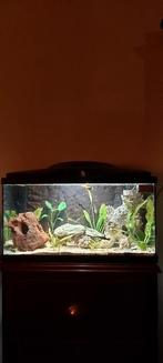 Aquarium  compleet, Dieren en Toebehoren, Vissen | Aquaria en Toebehoren, Ophalen