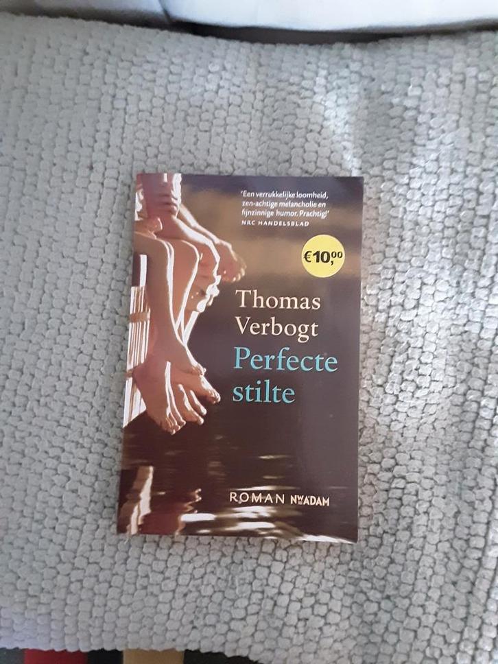 Thomas Verbogt------Perfecte stilte, Boeken, Romans, Zo goed als nieuw, Nederland, Ophalen of Verzenden