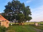 Vakantie woning te huur .boerderij  terug in de tijd.