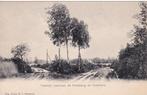 Ansichtkaart Hummelo Tramlijn tusschen Kruisberg en Hummelo, Ophalen of Verzenden, Voor 1920, Ongelopen, Gelderland