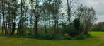 Haarthout, 15m3, gratis!  Even holdup, Tuin en Terras, Haardhout, 6 m³ of meer, Ophalen, Overige houtsoorten, Stammen
