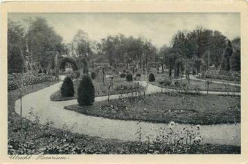 (300-117-025) Utrecht Rosarium beschikbaar voor biedingen