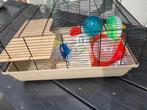 Hamsterkooi met alle toebehoren, Dieren en Toebehoren, Kooi, Minder dan 75 cm, Zo goed als nieuw, Hamster