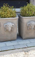 Nieuw Il cupido ramskop bloembakken, Ophalen of Verzenden, Nieuw, Beton, Minder dan 30 cm
