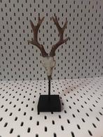 Leuke PTMD Skull op Voet - Decoratief, Ophalen of Verzenden, Nieuw, Kunststof, Overige typen