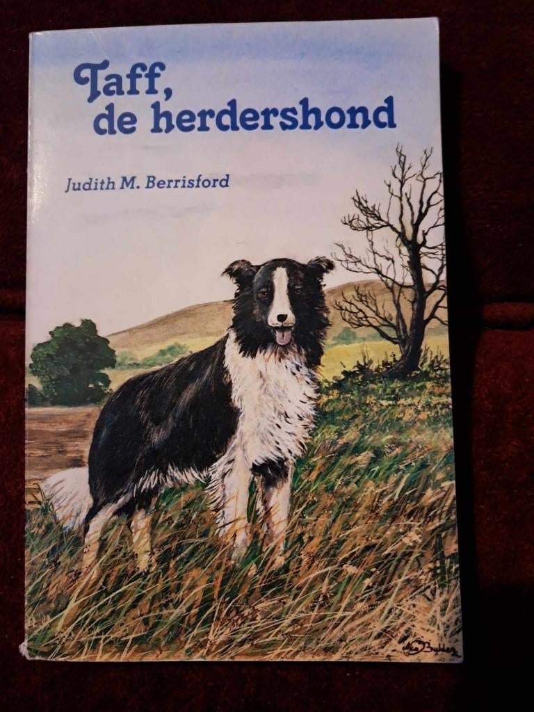 2 jeugdpockets, Boeken, Ophalen, Gelezen, Diverse schrijvers, Fictie