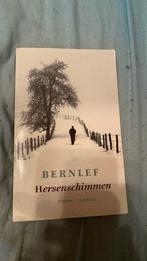 Bernlef - Hersenschimmen, Boeken, Literatuur, Bernlef, Ophalen of Verzenden, Zo goed als nieuw, Nederland