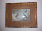 Jan Van Oort, vogel schilderij antiek 33x41,5cm, Antiek en Kunst, Ophalen