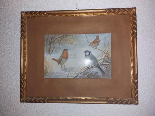 Jan Van Oort, vogel schilderij antiek 33x41,5cm, Antiek en Kunst, Kunst | Schilderijen | Klassiek, Ophalen