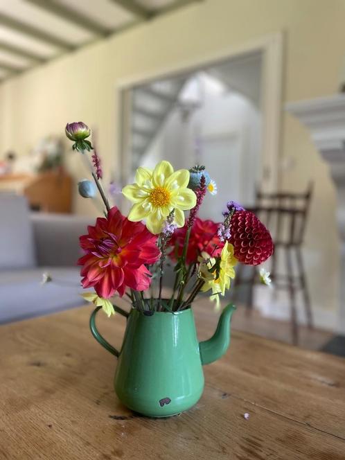 Dahlia’s dahliaknollen kopen of ruilen, Tuin en Terras, Bloembollen en Zaden, Knol, Voorjaar, Volle zon, Ophalen of Verzenden