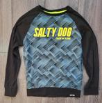 Geweldig shirtje/truitje Salty Dog! 146, Kinderen en Baby's, Ophalen of Verzenden, Zo goed als nieuw, Shirt of Longsleeve, Salty Dog