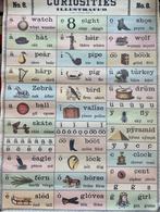 Cavallini poster retro, Curiosities Illustrated, Ophalen of Verzenden, A1 t/m A3