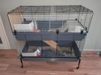 Te koop Cavia spullen, Dieren en Toebehoren, Knaagdieren, Cavia, Meerdere dieren