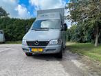 Paardenvrachtwagen B-rijbewijs Mercedes sprinter 2001, Ophalen, Gebruikt, Overige materialen, Overige typen