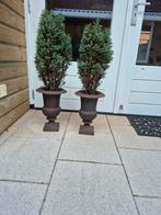2 Gietijzeren vazen hoogte 34 cm incl. plant( den), Ophalen, Gebruikt