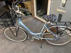 Gazelle bloom, Ophalen, Mandje, Gazelle, 53 tot 56 cm