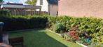 39x thuja brabant, Ophalen, Conifeer, 100 tot 250 cm