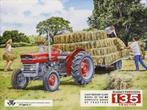 Hooien met de Massey Ferguson 135. Metalen wandbord 30 x 40, Ophalen of Verzenden, Nieuw, Reclamebord