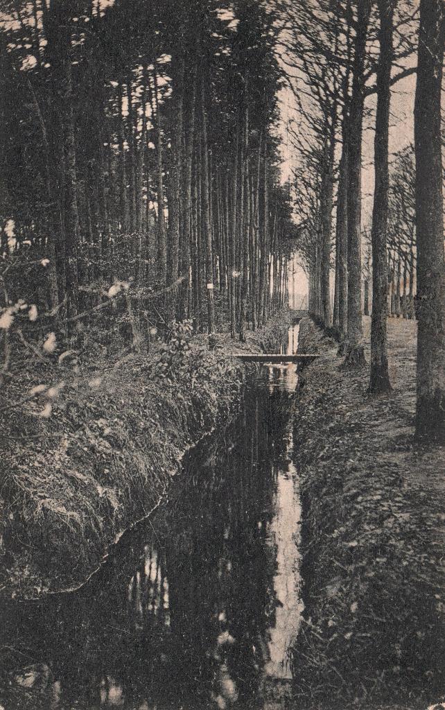 Greppel Mastbosch Ginneken (1917) 130791, Verzamelen, Ansichtkaarten | Nederland, Gelopen, Noord-Brabant, Voor 1920, Verzenden