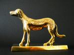 Golden retriever / gouden terugbrenger jachthond hond, Ophalen of Verzenden