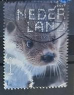 Modern Nederland 2019 zoogdier, Ophalen of Verzenden