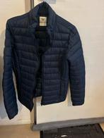 America Today Tussenjas - Donkerblauw - Maat M, Ophalen of Verzenden, Gedragen, Maat 48/50 (M), Blauw