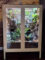 Mooi, zelfgemaakt terrarium met twee langstaarthagedissen, Ophalen, Zo goed als nieuw, Terrarium of Paludarium