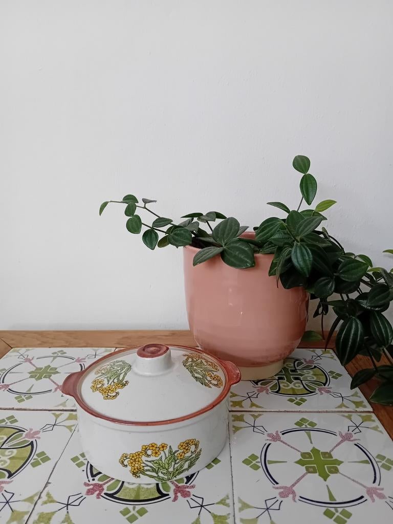 Vintage botanisch keramisch stoofpotje wildflower, Antiek en Kunst, Antiek | Servies los, Ophalen of Verzenden