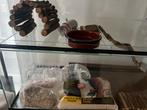 Terrarium -Gerbilarium-Hamster terrarium, Dieren en Toebehoren, Ophalen, Zo goed als nieuw