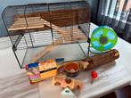 Glazen Zolux hamsterkooi met veel accessoires, Kooi, Minder dan 75 cm, Zo goed als nieuw, Ophalen