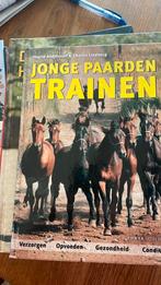 Jonge Paarden Trainen - Boek, Boeken, Ophalen of Verzenden, Gelezen, Overige onderwerpen, Geschikt voor kinderen