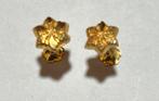 Echte Goud(21,Karaten)Oorbellen nieuw in doos, Nieuw, Ophalen of Verzenden, Knopjes of Stekers, Goud
