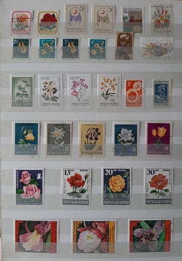 3 Kaarten Postzegels Bijzondere en Mooiste Bloemen No. 19 beschikbaar voor biedingen