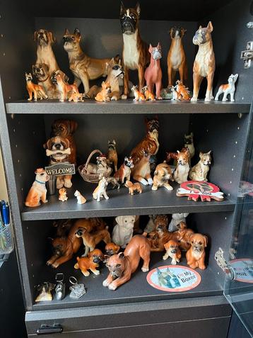 Boxer Beelden Collectie t.e.a.b. beschikbaar voor biedingen