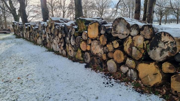 Haardhout stammen, Tuin en Terras, Haardhout, Stammen, Overige houtsoorten, 6 m³ of meer, Ophalen