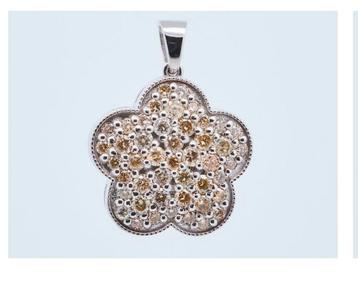 Prachtige wit gouden hanger, 14 kr met 💎certificaat beschikbaar voor biedingen