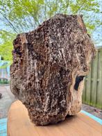 Sequoia versteend gekristalliseerd hout XL, Verzamelen, Mineralen en Fossielen, Ophalen of Verzenden, Mineraal