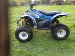 Polaris 250cc, Motoren, 250 cc