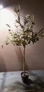 Kunst olijfboompje, Ophalen of Verzenden