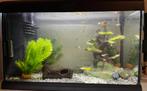 Capri Aquarium + toebehoren (zonder vissen), Dieren en Toebehoren, Vissen | Aquaria en Toebehoren, Ophalen of Verzenden, Zo goed als nieuw