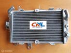Radiateur Suzuki BURGMAN 650 AN650/AN650Z 2013-2017 radiator, Ophalen of Verzenden, Nieuw
