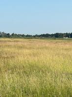 Gras op stam, Dieren en Toebehoren, Stalling en Weidegang, Weidegang