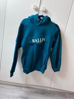 Ballin Hoodie met ritszakken, Ophalen of Verzenden, Zo goed als nieuw, Maat 46 (S) of kleiner, Overige kleuren