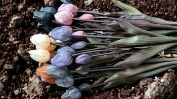 Countryfield Real Touch Tulpen bosje van 5 stuks beschikbaar voor biedingen