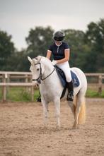 Verzorger/ bijrijder gezocht, Dieren en Toebehoren, Paarden, Minder dan 160 cm, B, 7 tot 10 jaar, Meerdere dieren