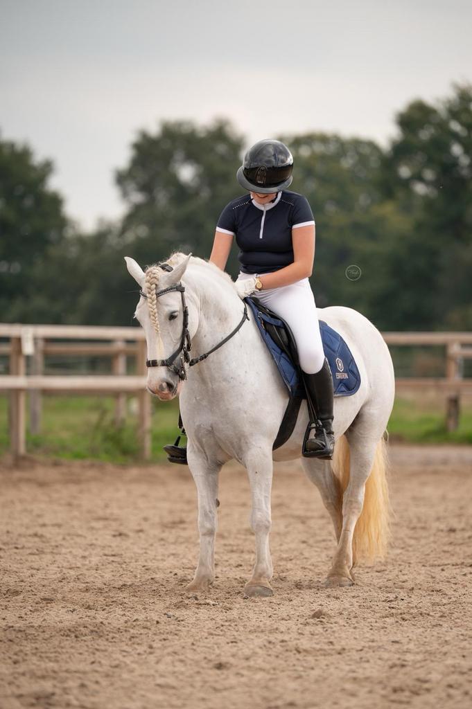 Verzorger/ bijrijder gezocht, Dieren en Toebehoren, Paarden, Meerdere dieren, B, Minder dan 160 cm, 7 tot 10 jaar, Recreatiepaard