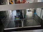 Aquarium  80 breed 35 diep geen deksel bij, Dieren en Toebehoren, Vissen | Aquaria en Toebehoren, Ophalen, Leeg aquarium