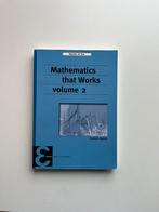Mathematics that Works - volume 2, Boeken, Ophalen of Verzenden, Zo goed als nieuw, Natuurwetenschap, Maarten de Gee